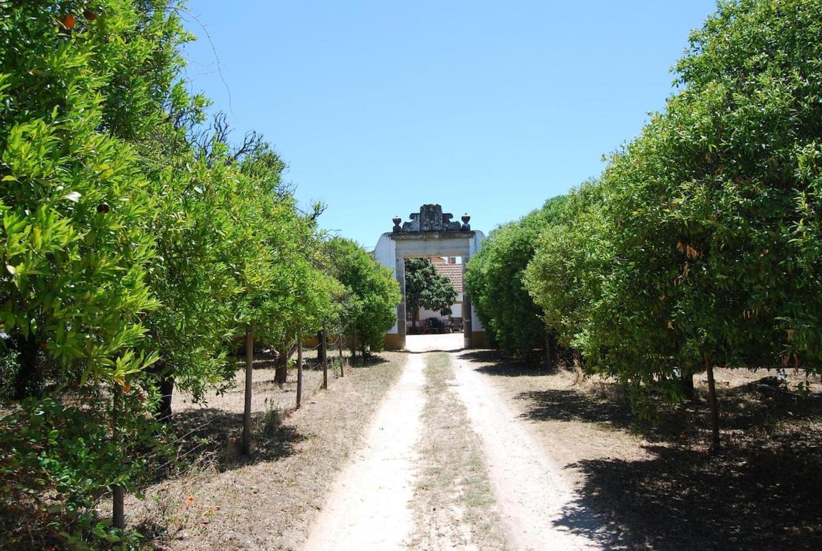 Quinta Do Casalinho - Benfica Do Ribatejo Villa Exterior photo